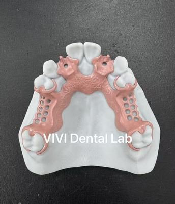 چین VIVI DENTAI LABORATORY گواهینامه ها